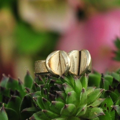 Ring in massief zilver - UNICA - Alex Fabry (België) - Maat54