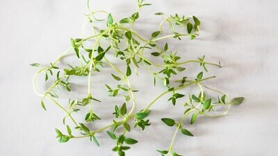 Thyme