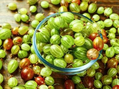 Gooseberry