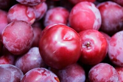 Red Plum