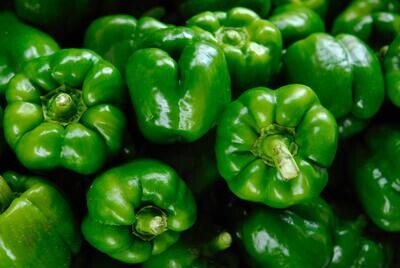 Green Bell Pepper