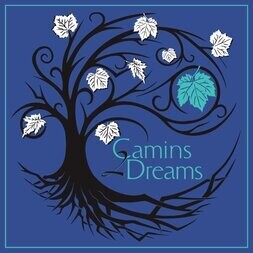 Camins 2 Dreams Gamay 2021