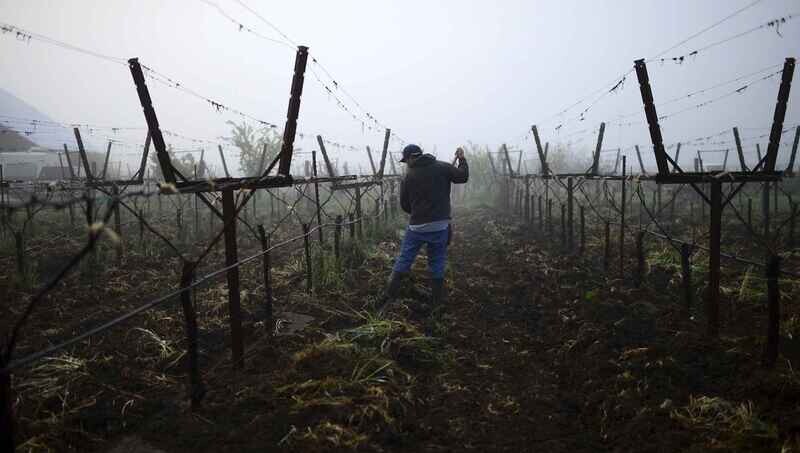 Matthiasson Linda Vista Vineyard Chardonnay 2021