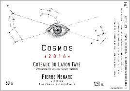 Pierre Menard Coteaux du Layon Cosmos 2019 (500ml)