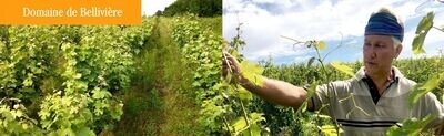 Domaine de Belliviere Coteaux du Loir Blanc L'Effraie 2020