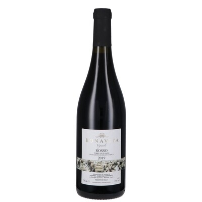 Bonavita Rosso Terre Siciliane 2019