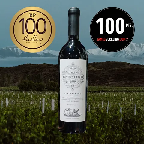 Gran Enemigo Gualtallary Cabernet Franc 2019