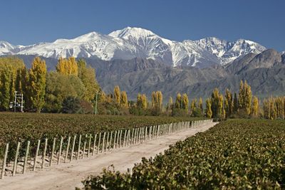 Best of Argentina under $25