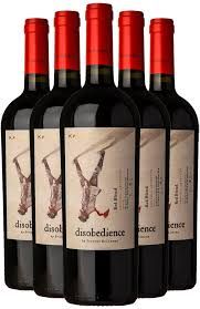 Kaiken Disobedience by Francis Mallman Red Blend