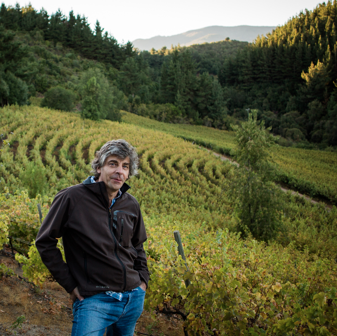 Laberinto Arcillas Riesling 2022