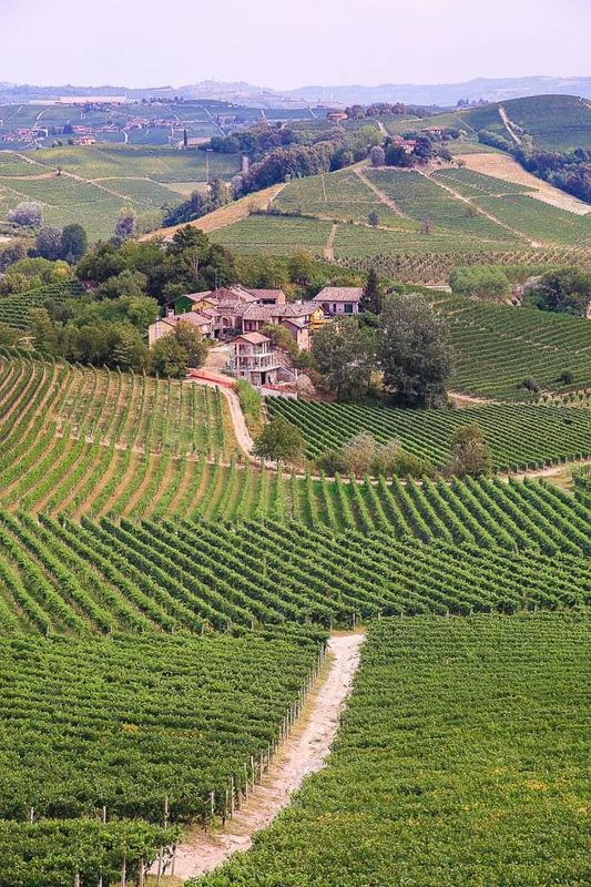 Damilano Barolo Lecinquevigne 2022