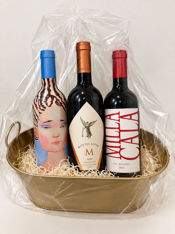 Premium Chilean Wine Gift Basket