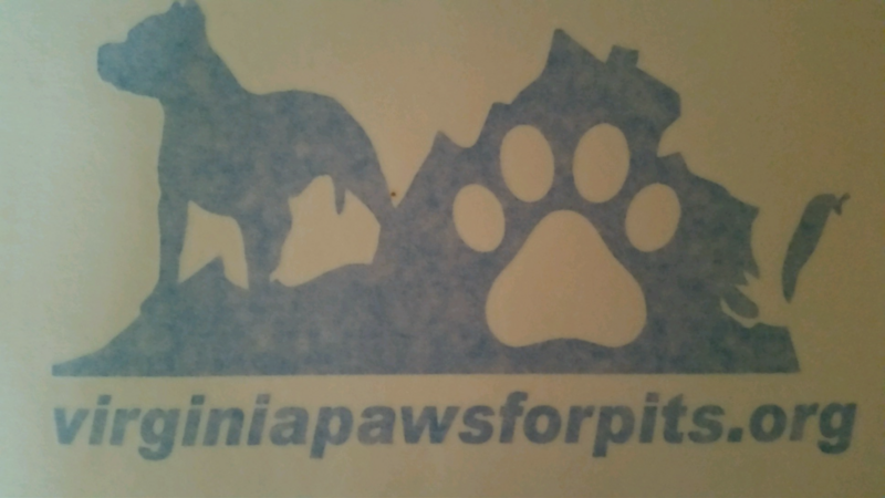 Window Decal with logo