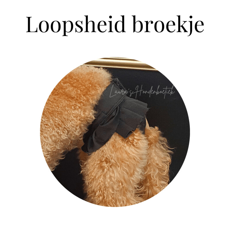 Loopsheid broekje zwart