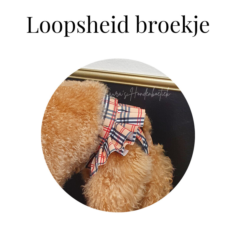 Loopsheid broekje Geblokt