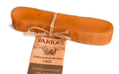 Yakka`s large