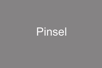 Pinsel