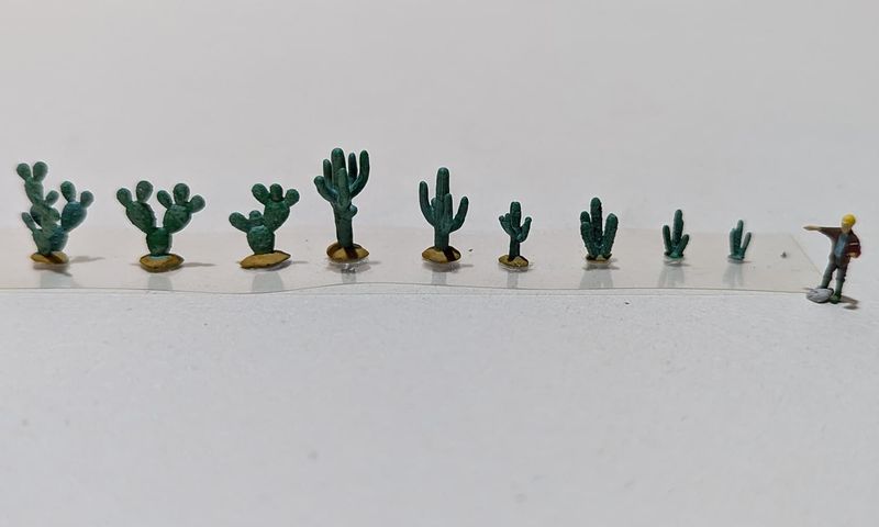 Kakteen Set Spur N