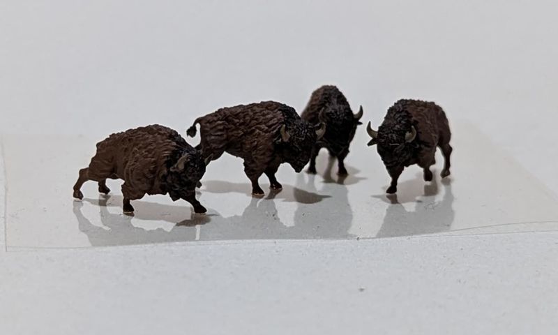Wild West Bisons Spur N