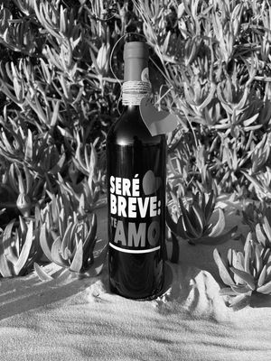 Vino seré breve te amo