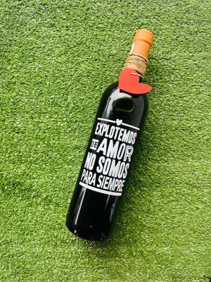 Vino explotemos de amor no somos para siempre