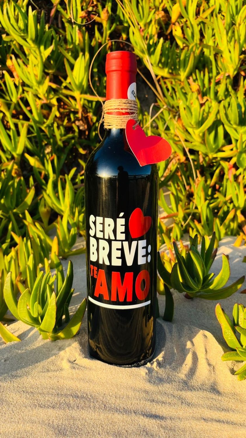 Vino seré breve te amo