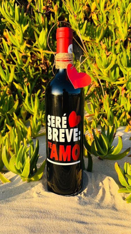 Vino seré breve te amo
