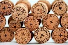 Cava - Prosecco