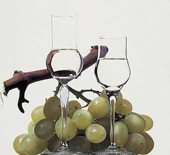 Grappa