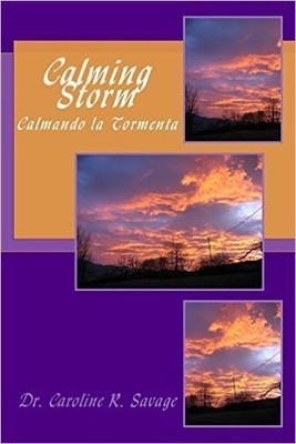Calming Storm: Calmando la Tormenta