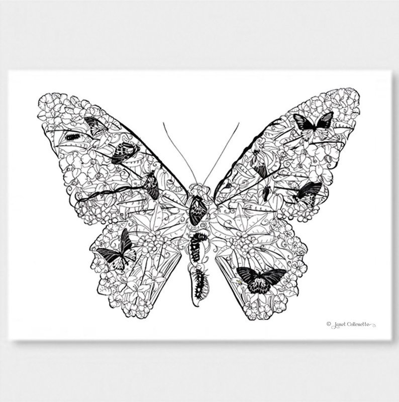 Golden Birdwing Butterfly Life Cycle (Black Line) Print