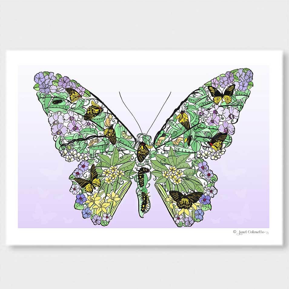 Golden Birdwing Butterfly Life Cycle Print