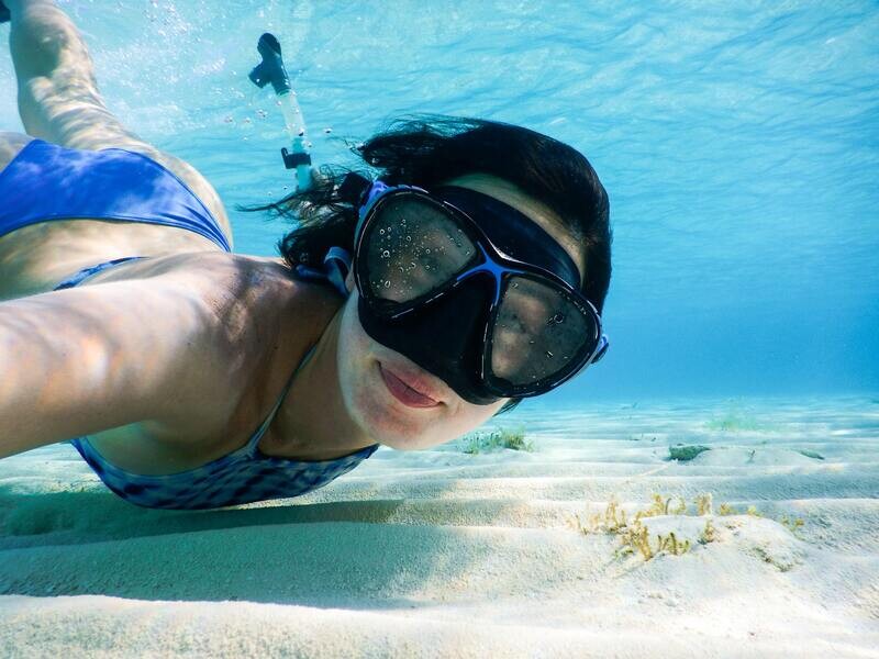 Private Full-Day Oahu, Hawaii Pearl Harbor Tour and North Shore