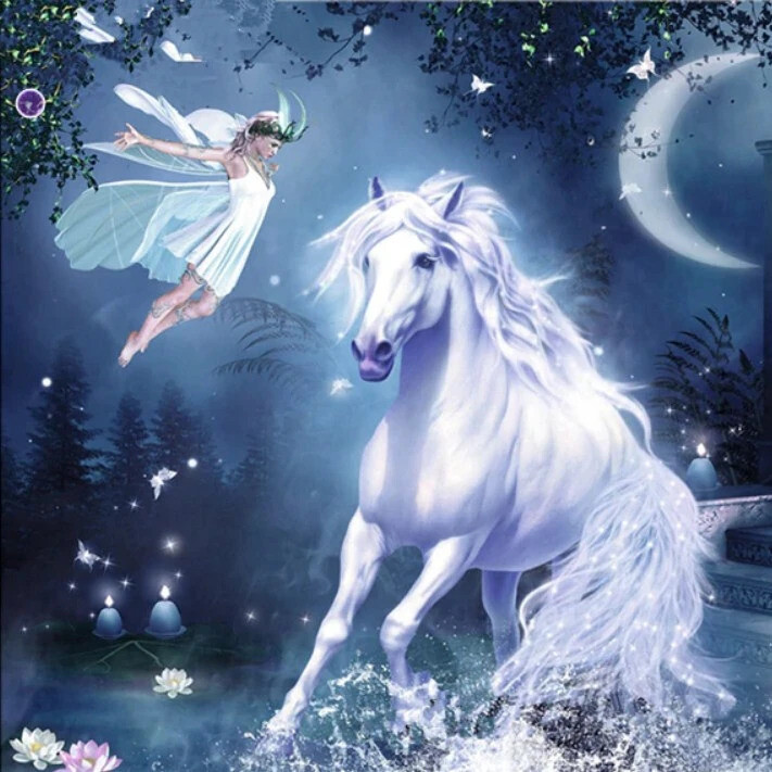 Fantasy Horse and Flying Fairy at Night Paint by Numbers Art