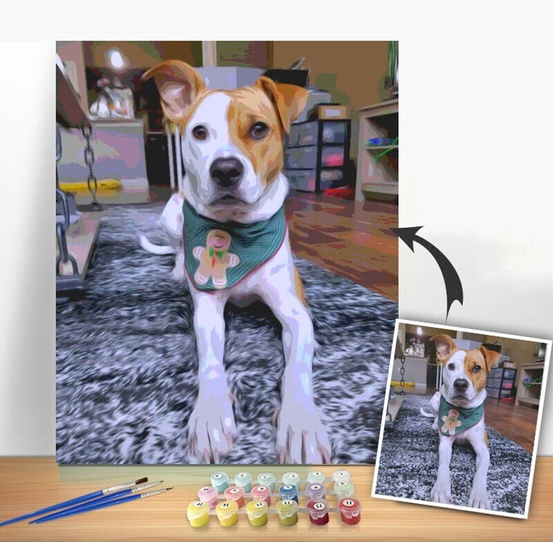 Custom Paint by Numbers kit