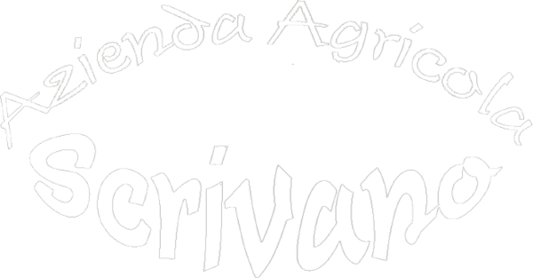 Azienda Agricola "Scrivano Vincenzo"