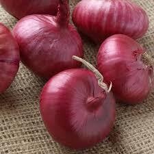 Indian Onion