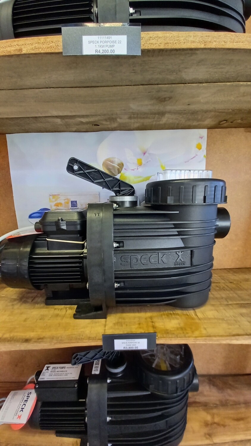 Speck pump 0.75kw