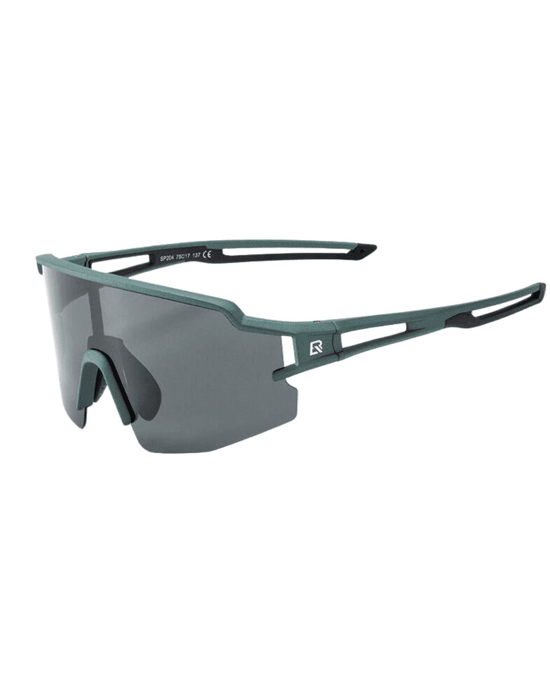 Lentes Rockbros VersaView Black