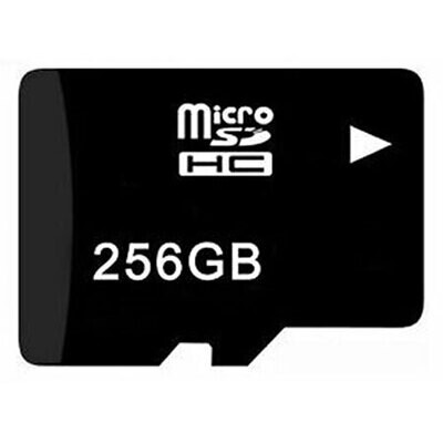 Micro SD 16 GB