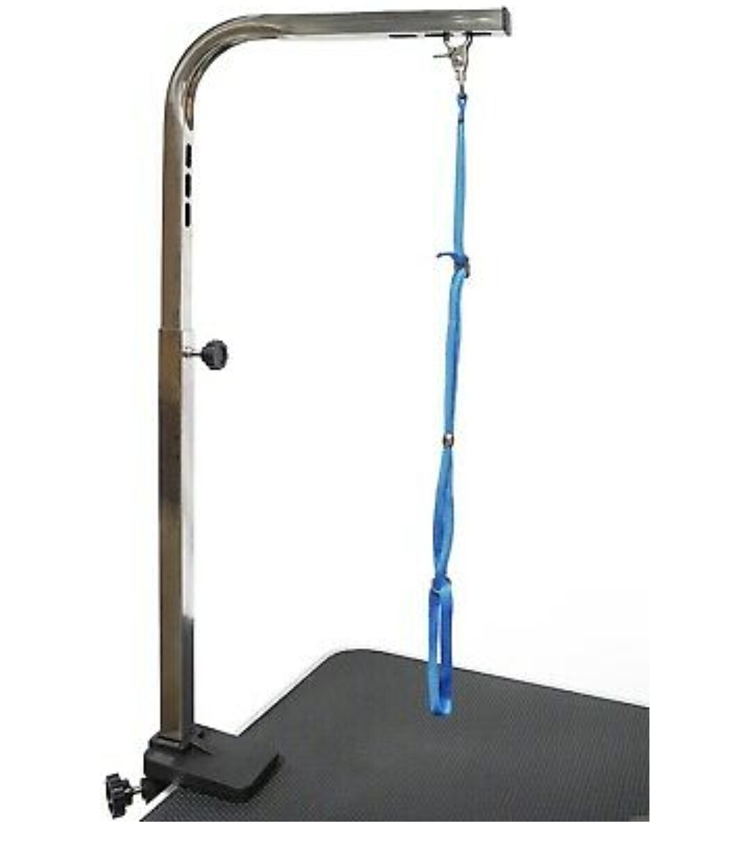 Pet Club Groomy Table