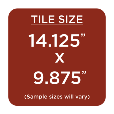 14.125x9.875