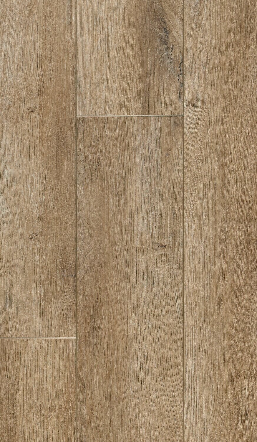 Bison Beige