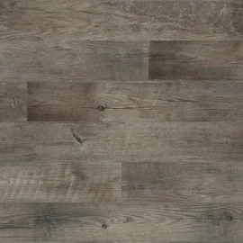 Dockside Driftwood