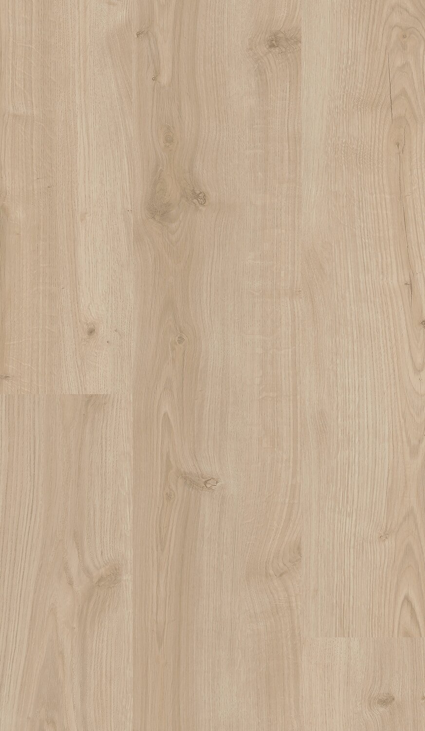 Hawthorne Oak