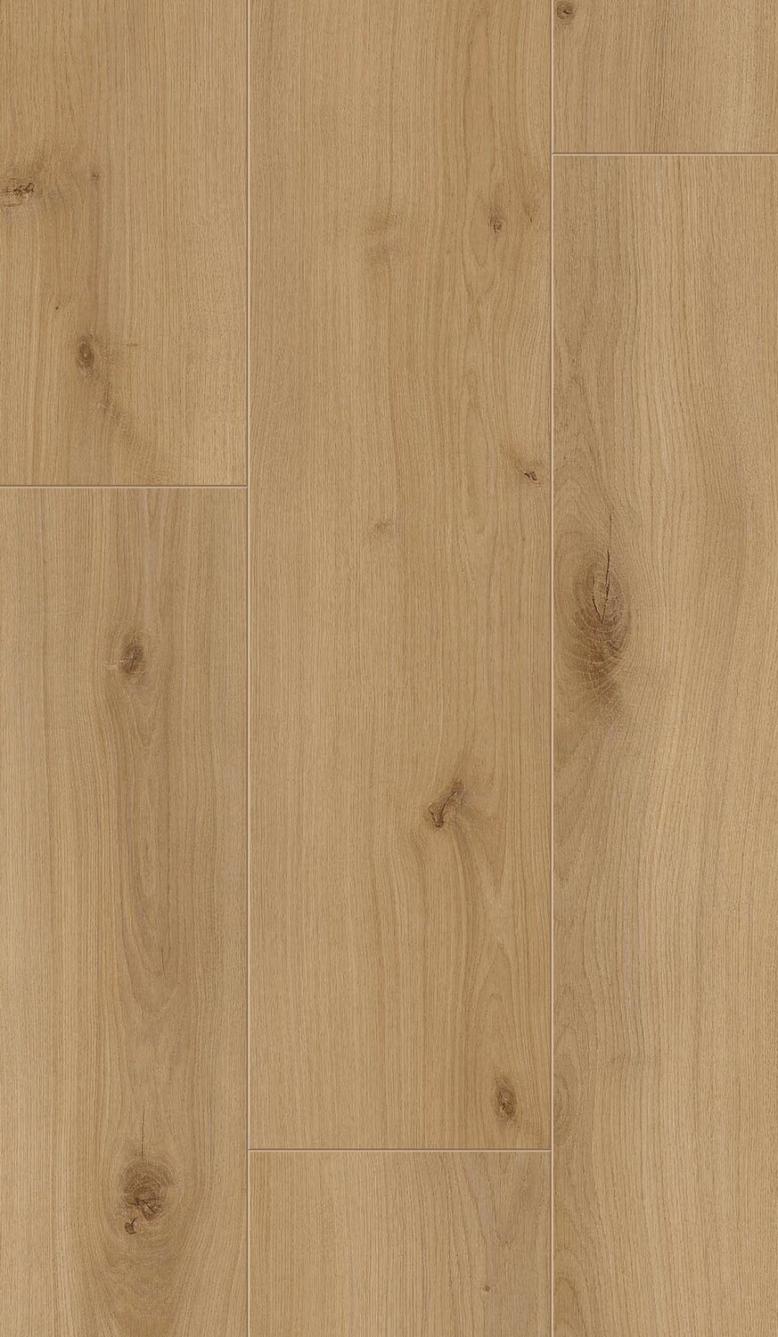 Melrose Oak