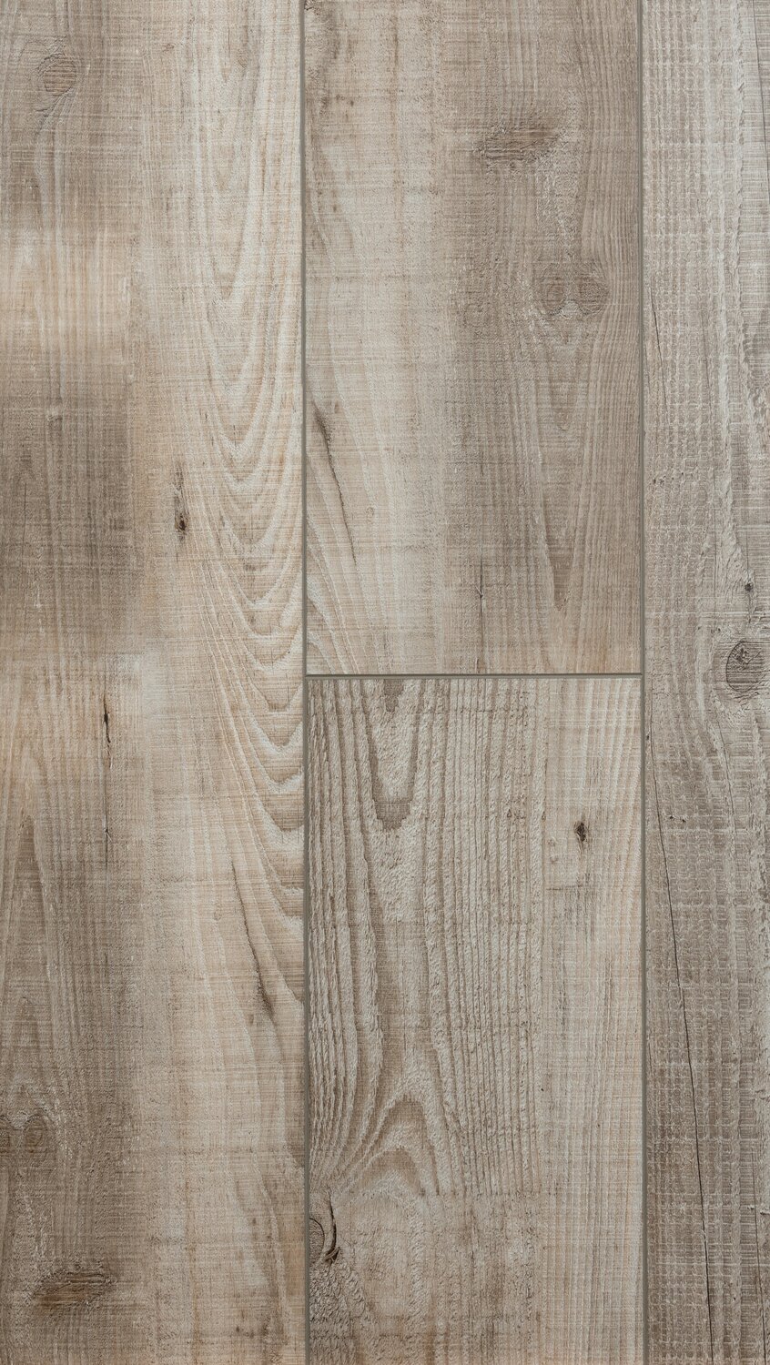 Stampede Taupe