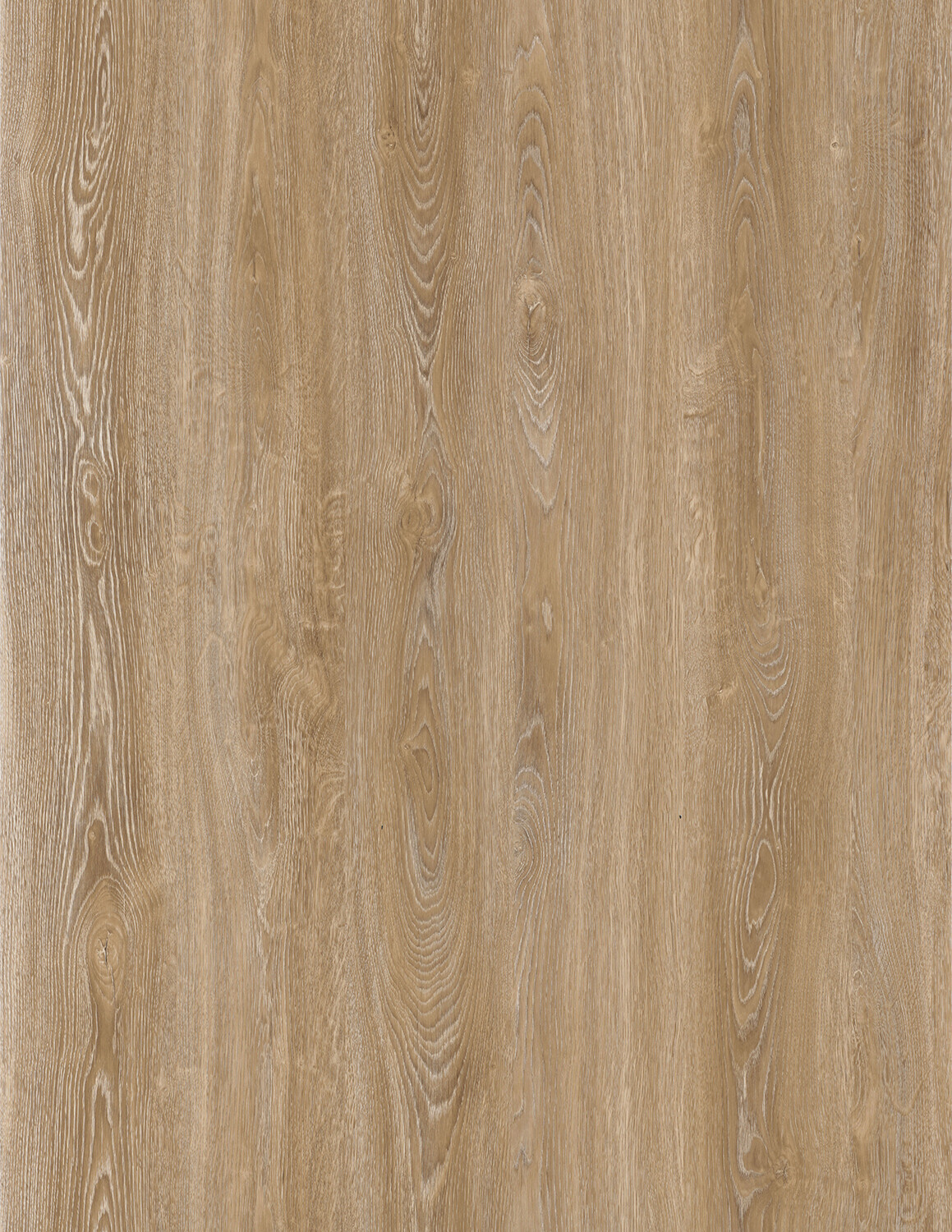 Legacy Progress Daybreak