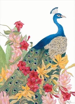 Peacock Paradise