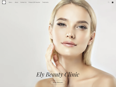 Website For Salons - Budget Edition